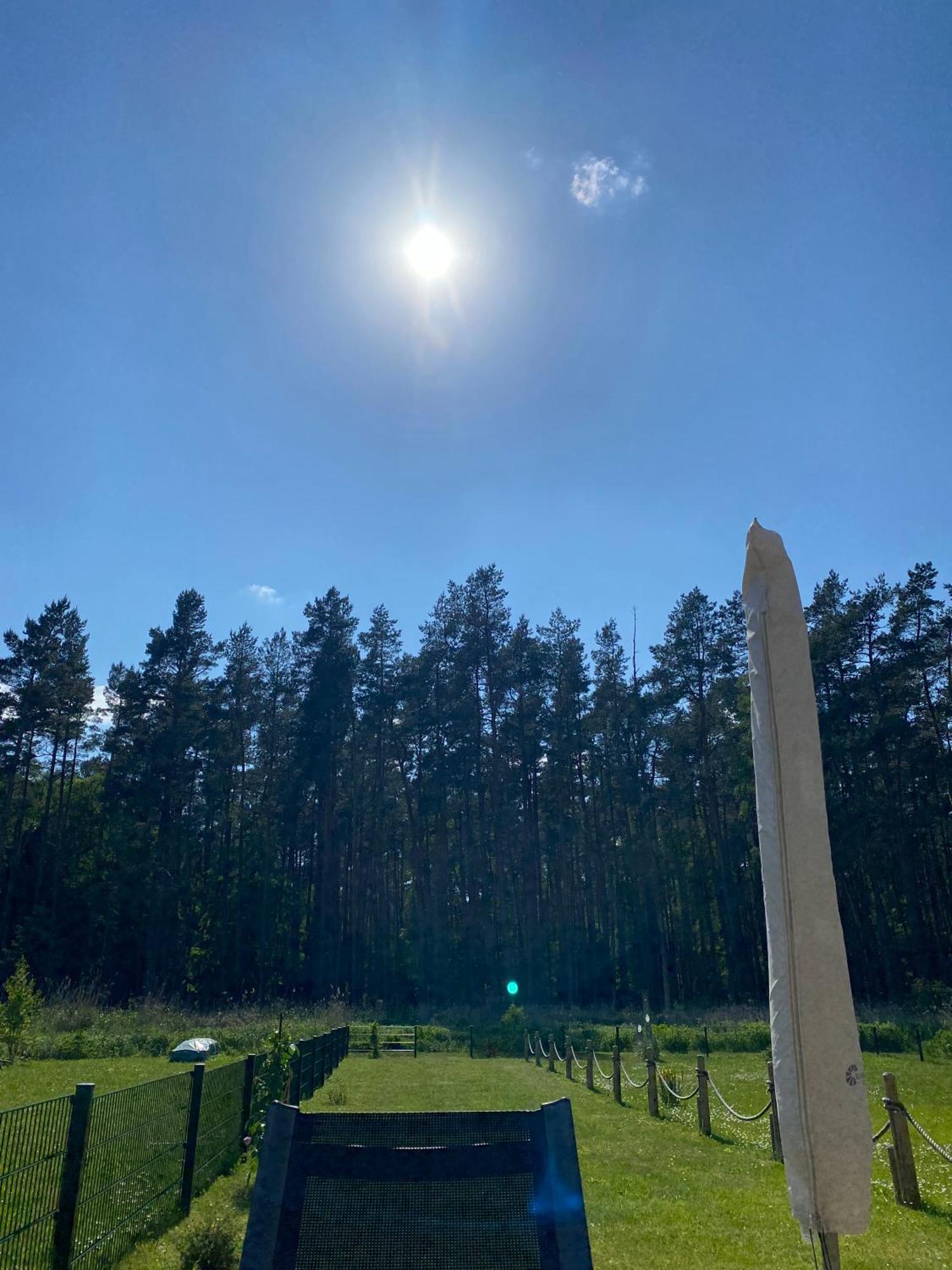 Lieblingsplatz Im Kuestenwald Graal-Mueritz Gelbensande Buitenkant foto